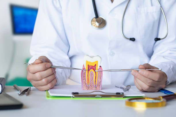 Best Emergency Orthodontic Services in Corydon, IN